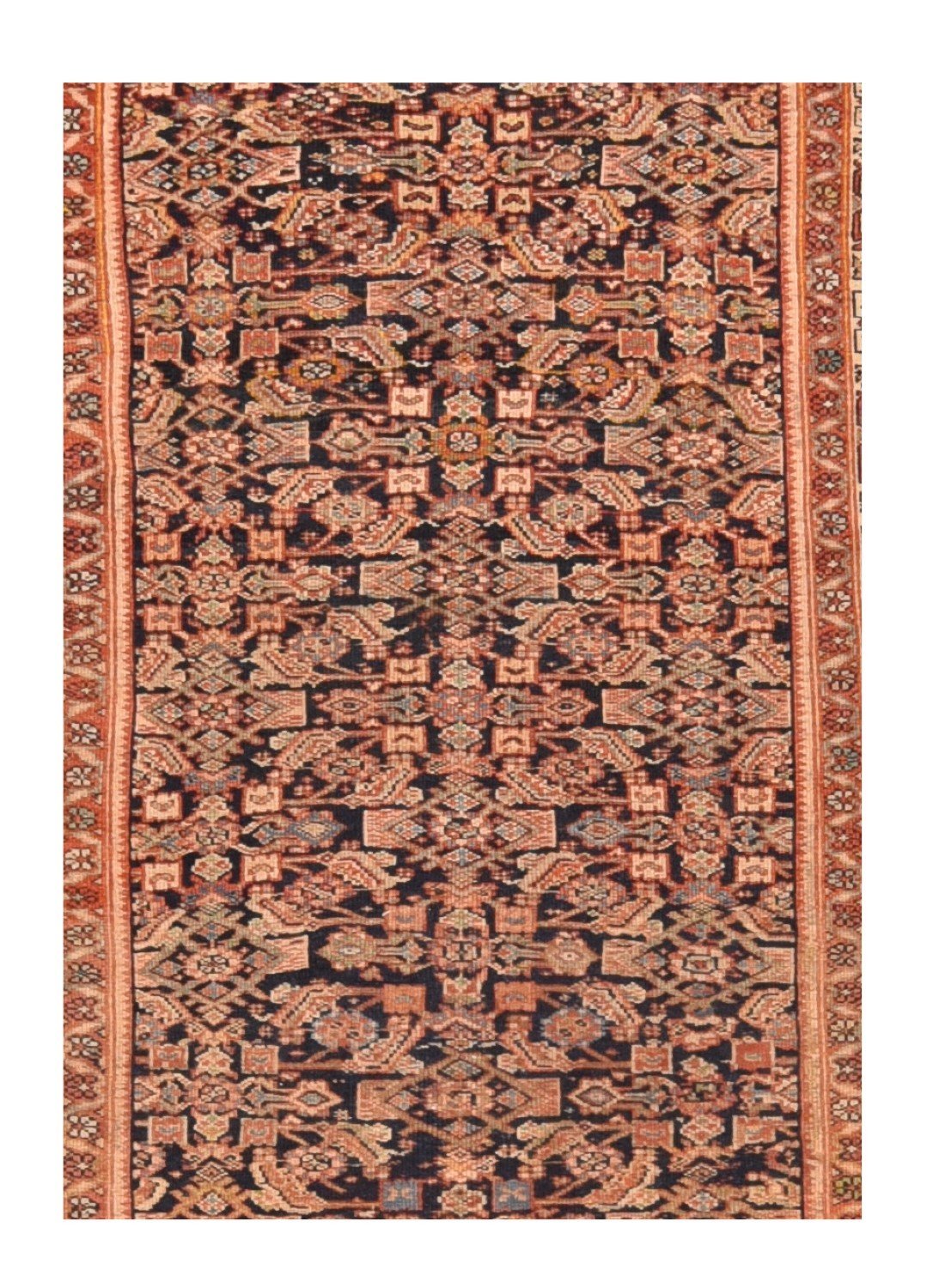 Area Rug 1629