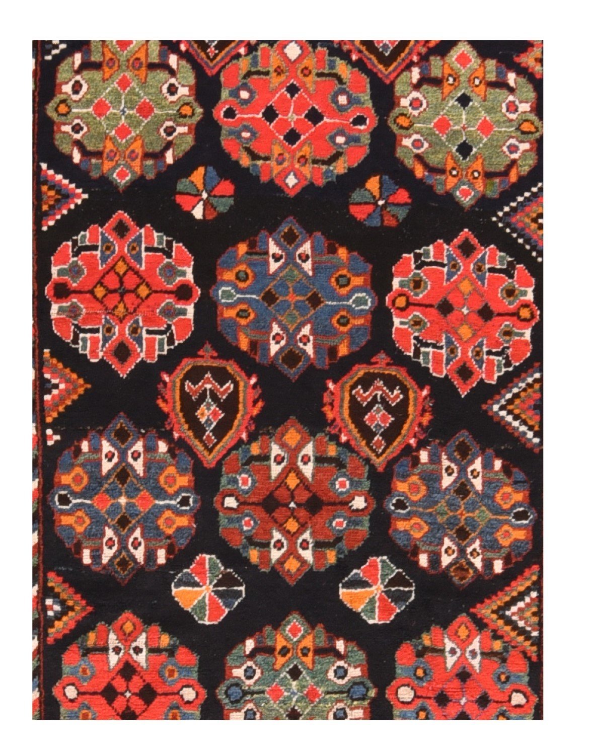 Area Rug 1631