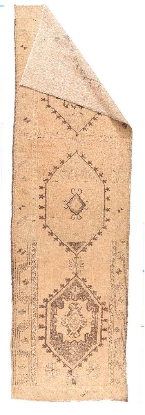 Area Rug 1637