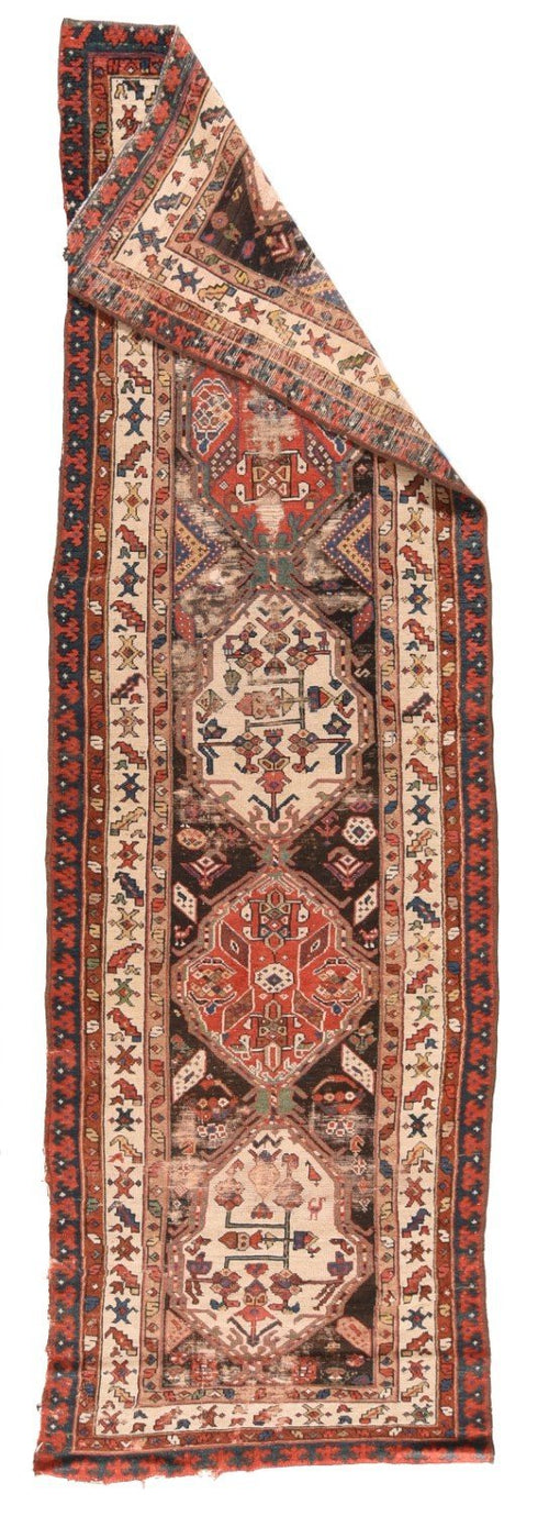 Area Rug 1638