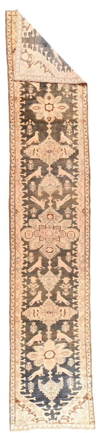 Area Rug 1639