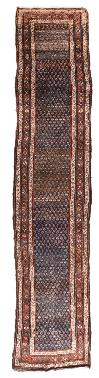 Area Rug 1641