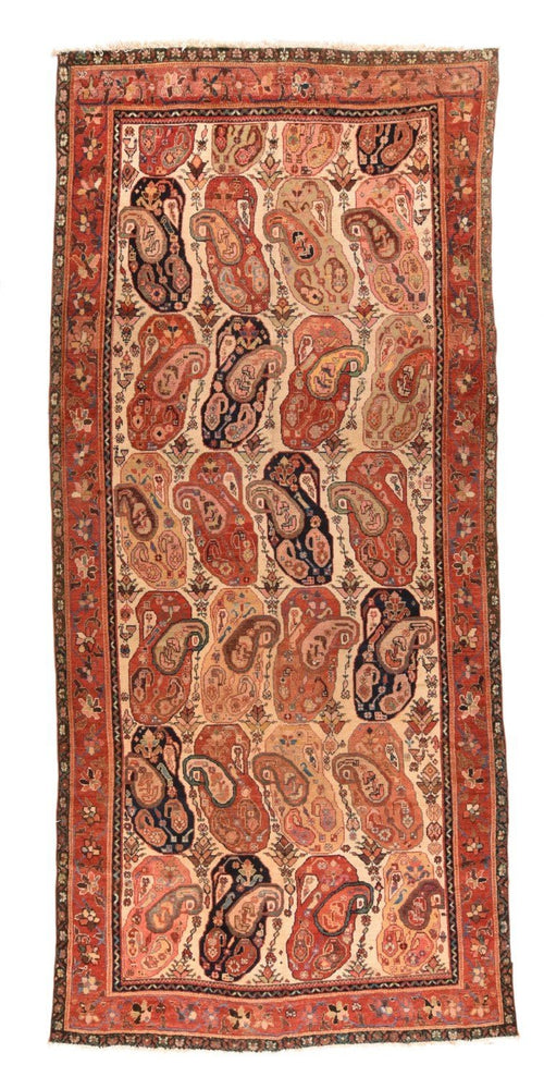 Area Rug 1644