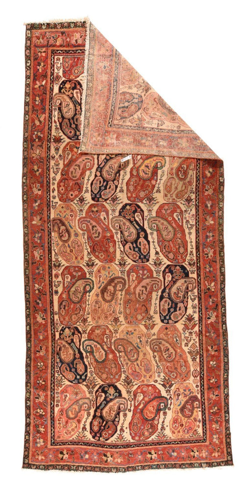 Area Rug 1644