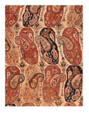 Area Rug 1644