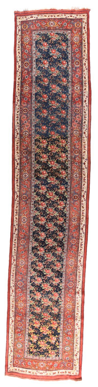 Area Rug 1647