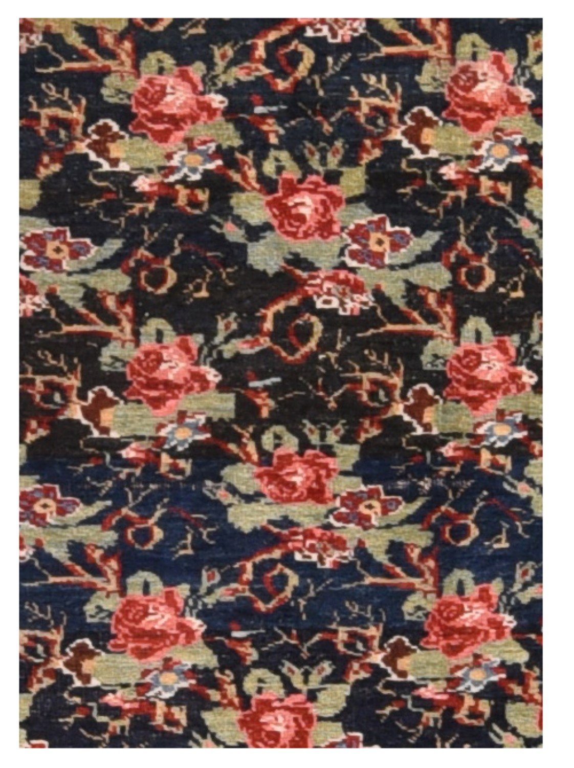 Area Rug 1647