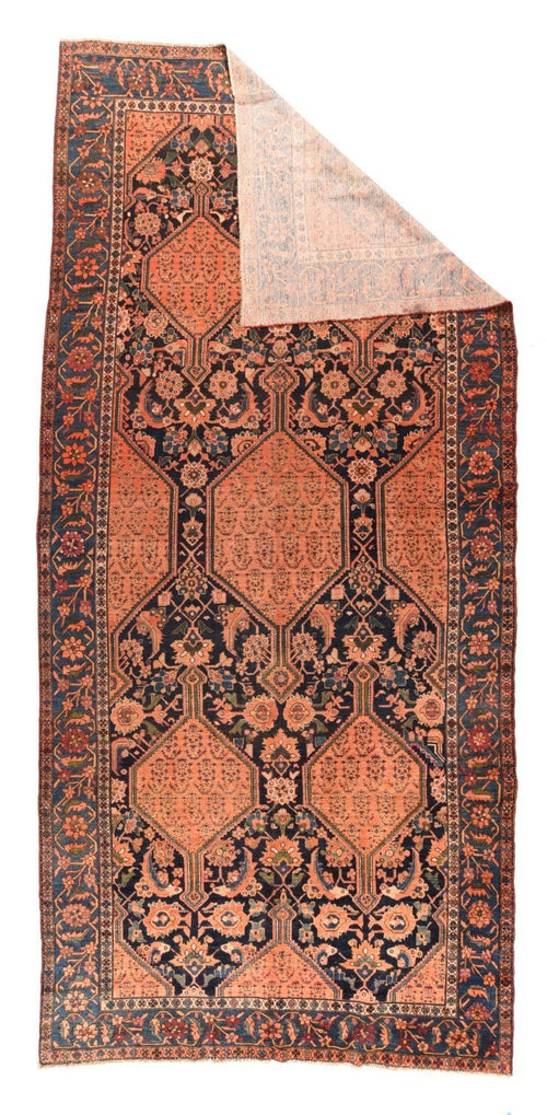 Area Rug 1648