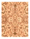 Area Rug 1653