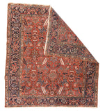 Area Rug 1654