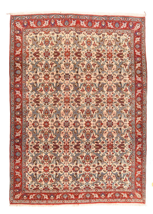 Area Rug 1655