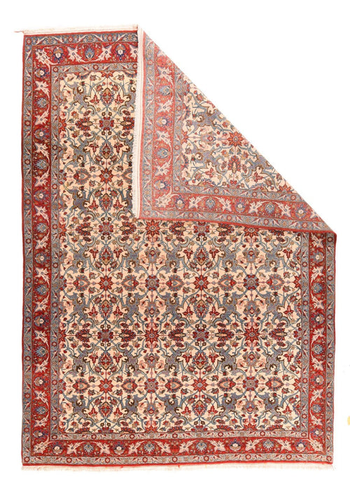 Area Rug 1655