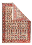 Area Rug 1655