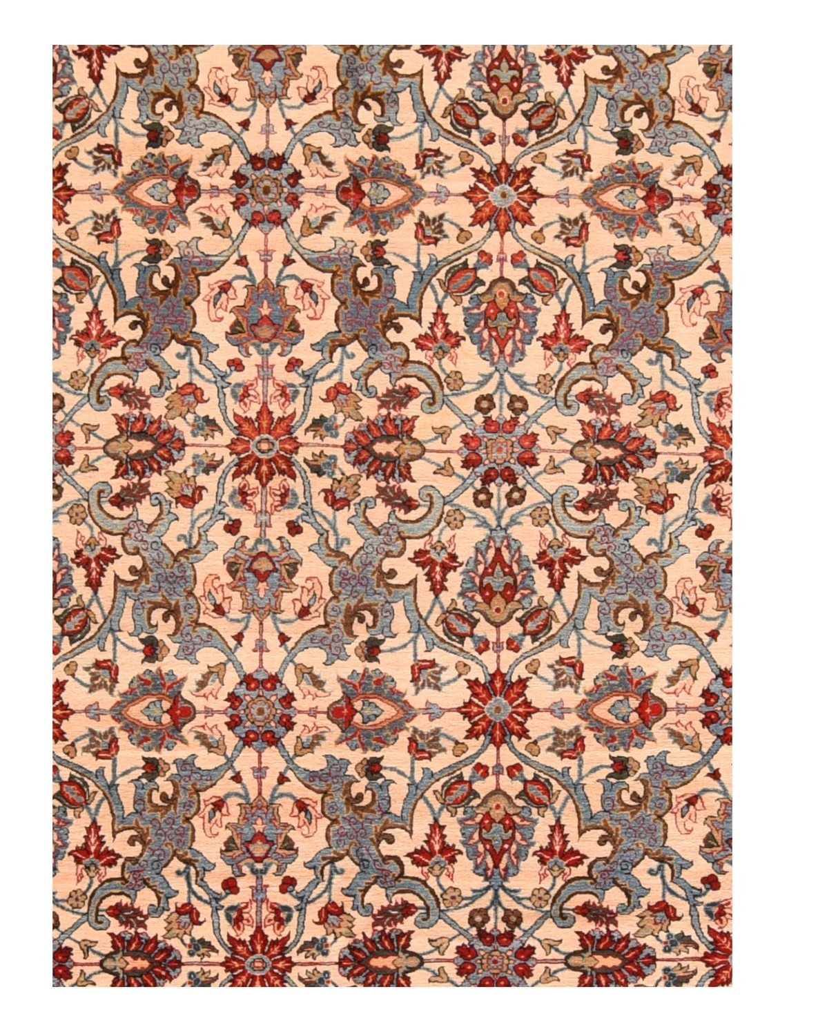 Area Rug 1655