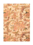 Area Rug 1657