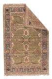 Area Rug 1672