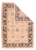 Area Rug 1679