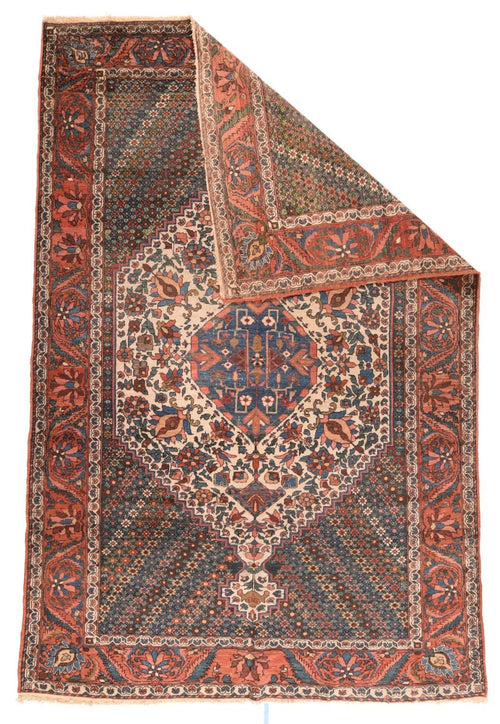 Area Rug 1681