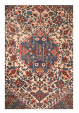 Area Rug 1681