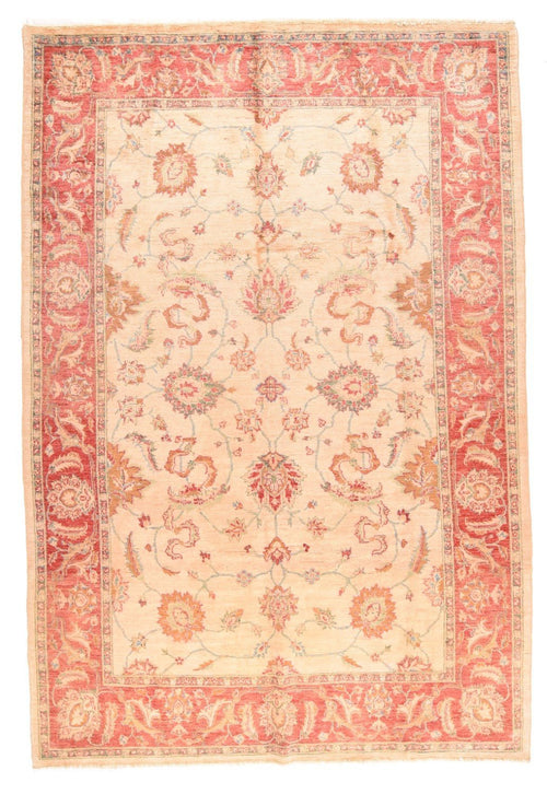 Area Rug 1683