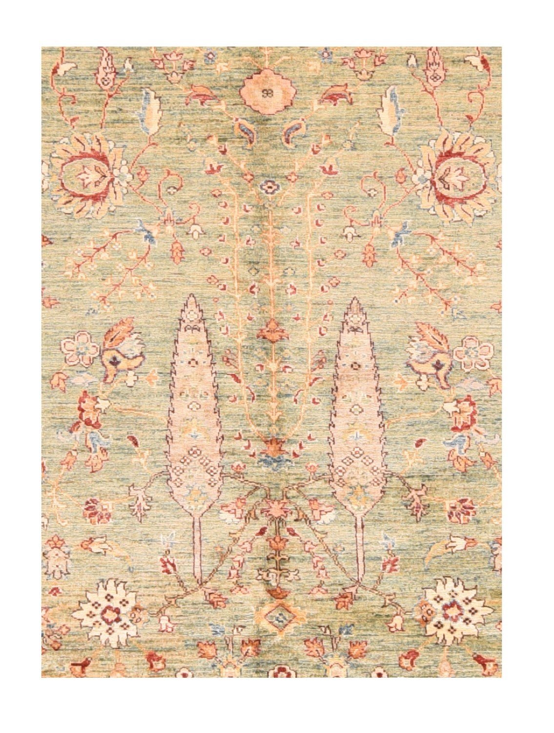 Area Rug 1684