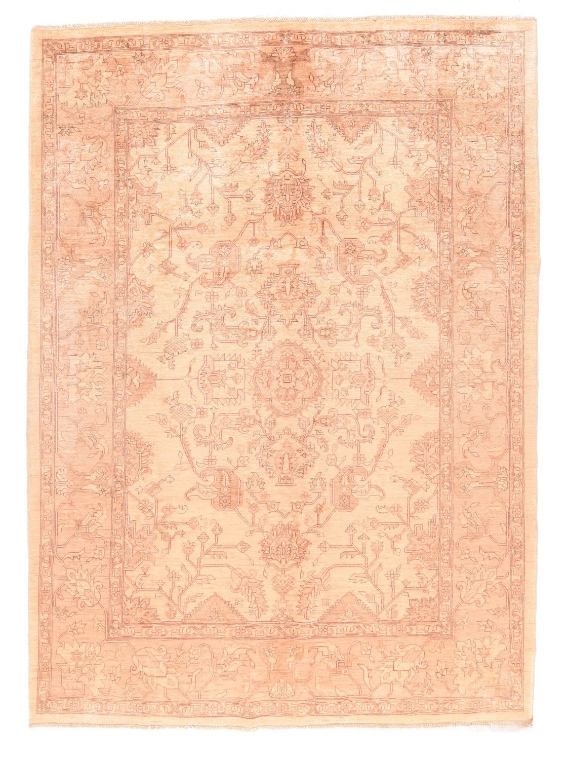 Area Rug 1689