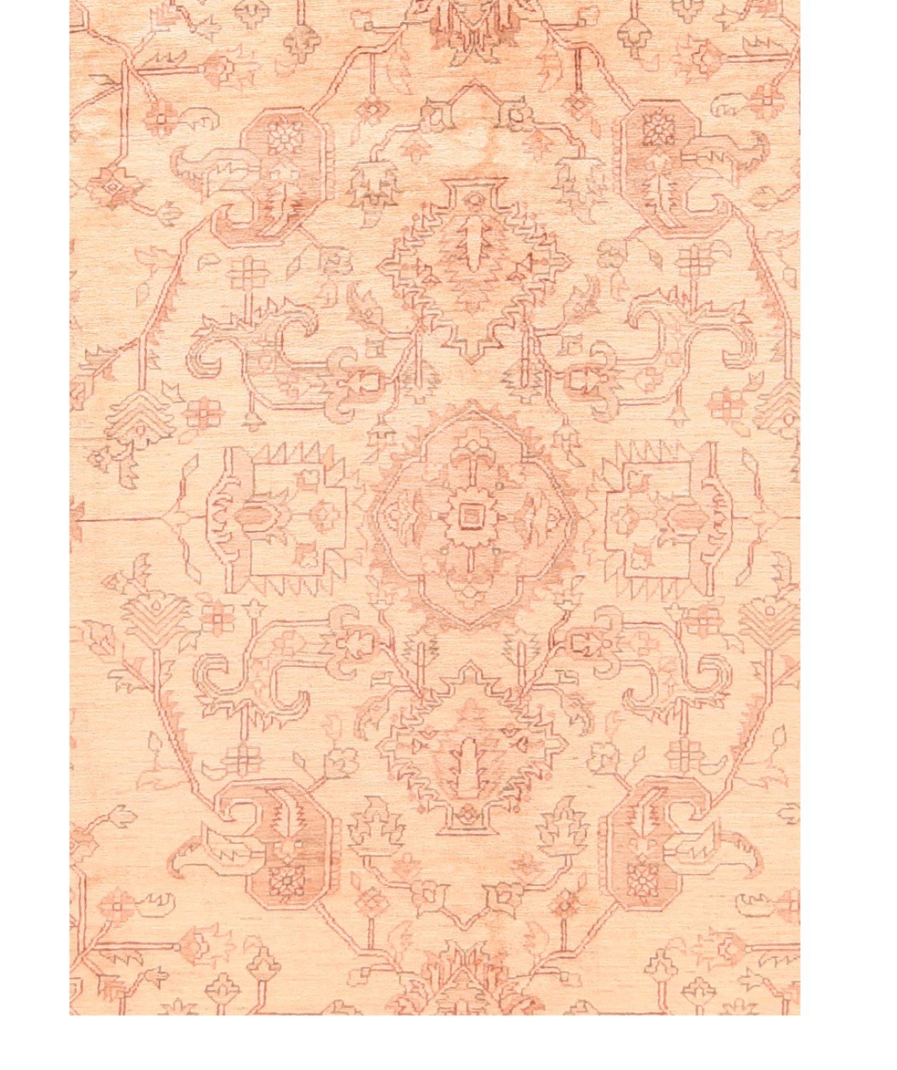 Area Rug 1689