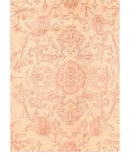 Area Rug 1689