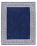 Area Rug 1691