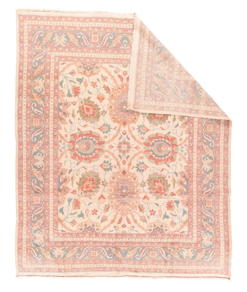 Area Rug 1692