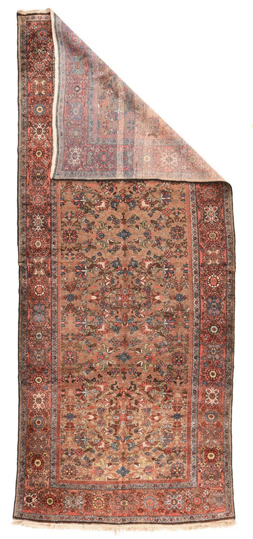 Area Rug 1696