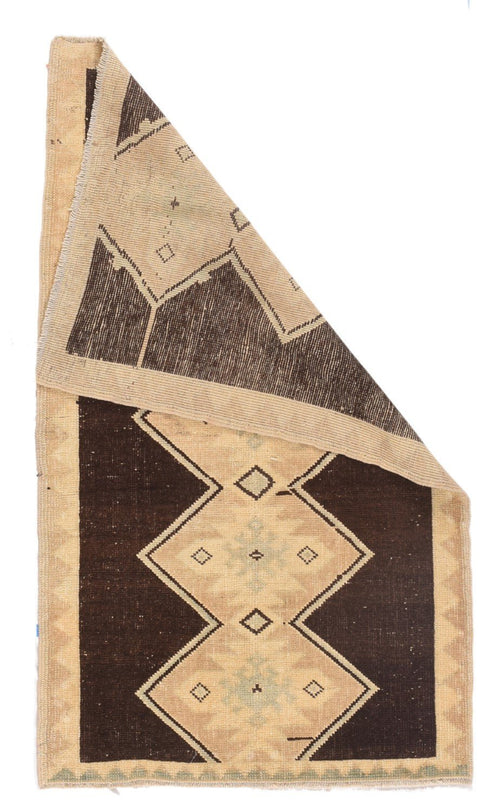 Area Rug 1698