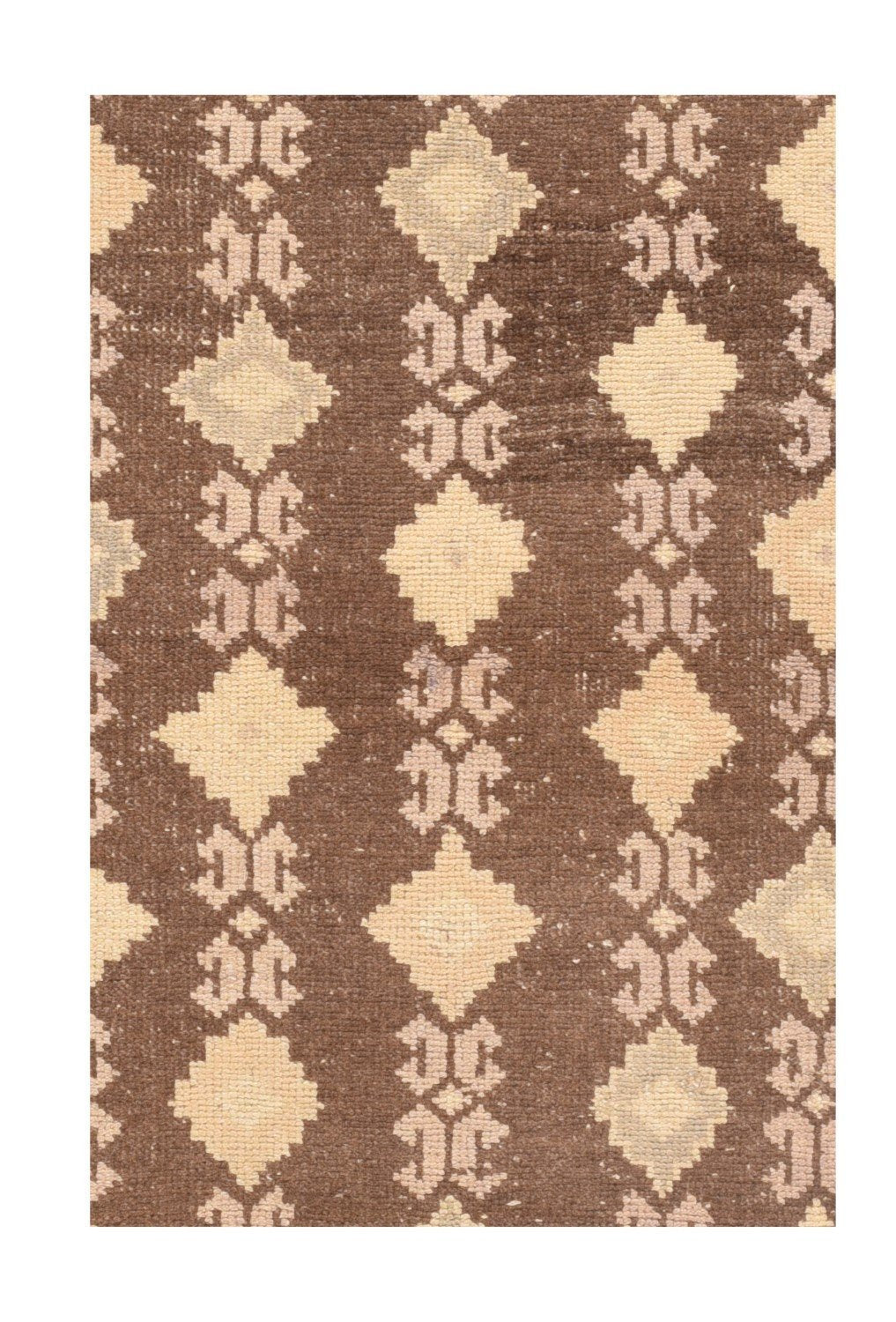 Area Rug 1701