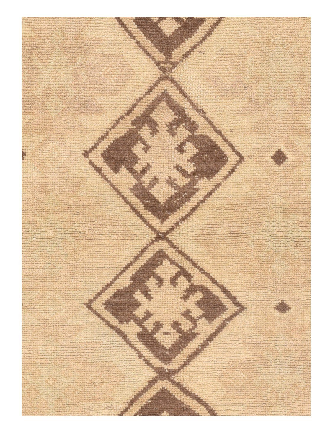 Area Rug 1713