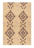 Area Rug 1717