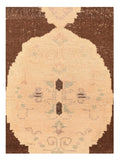 Area Rug 1719