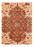 Area Rug 1731