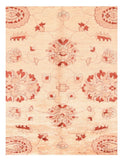 Area Rug 1732