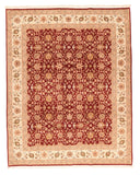 Area Rug 1734