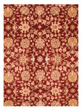 Area Rug 1734