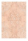 Area Rug 1754