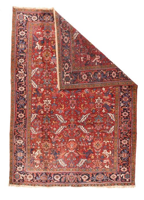 Area Rug 1764