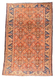 Area Rug 1773