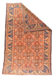 Area Rug 1773