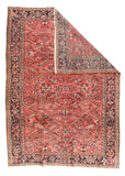 Area Rug 1774