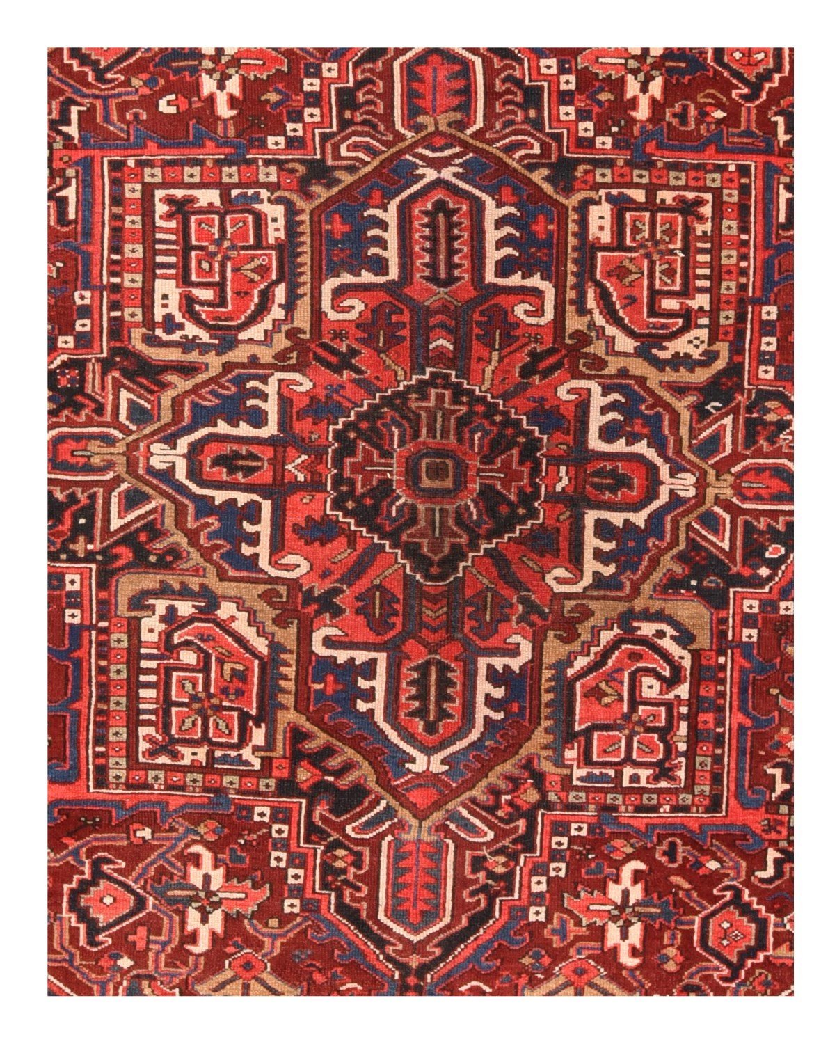 Area Rug 1778