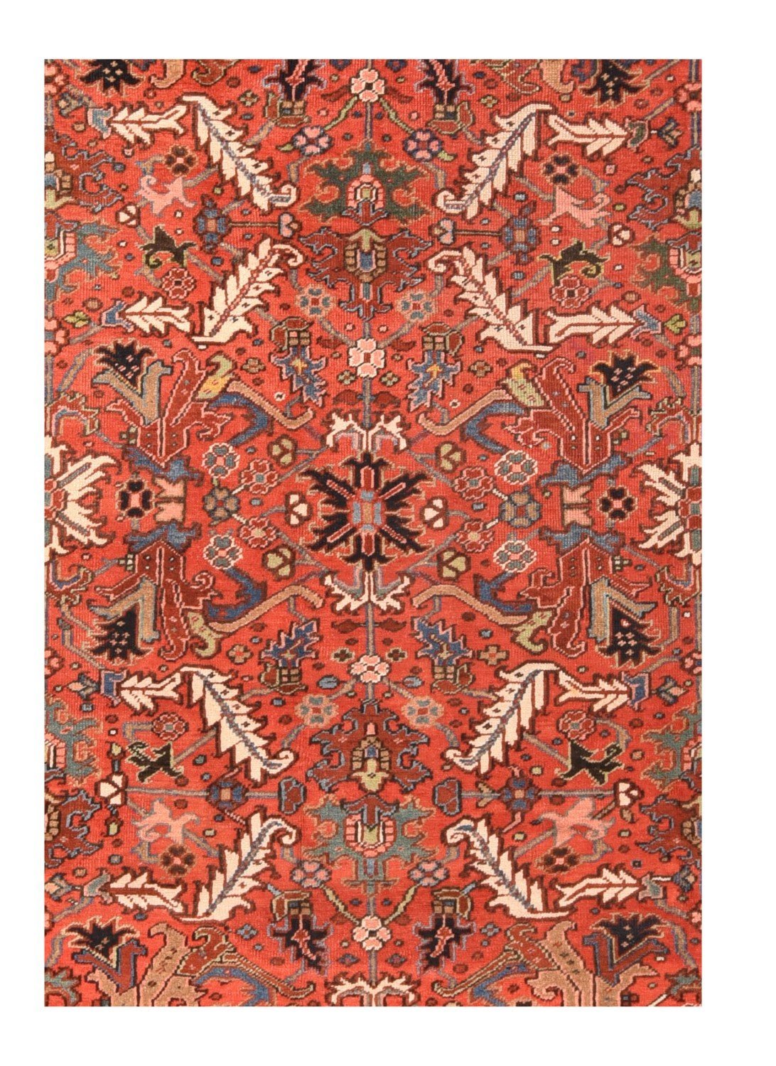 Area Rug 1787