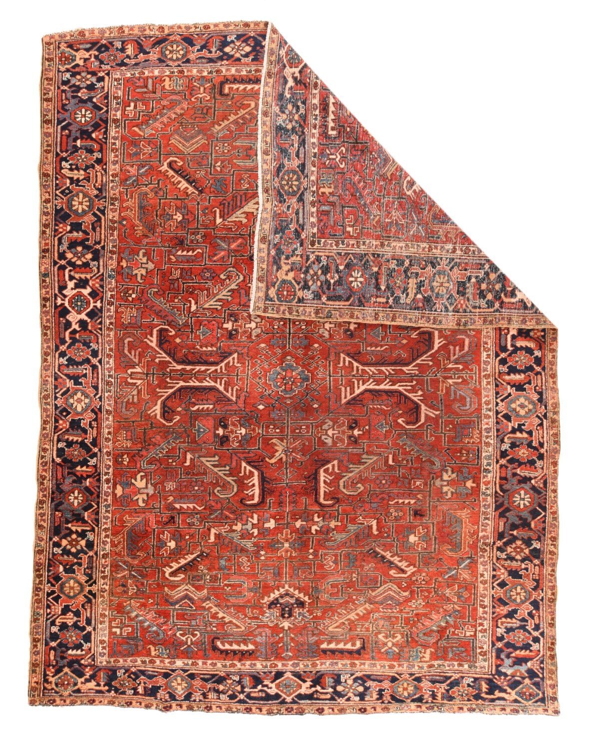 Area Rug 1791