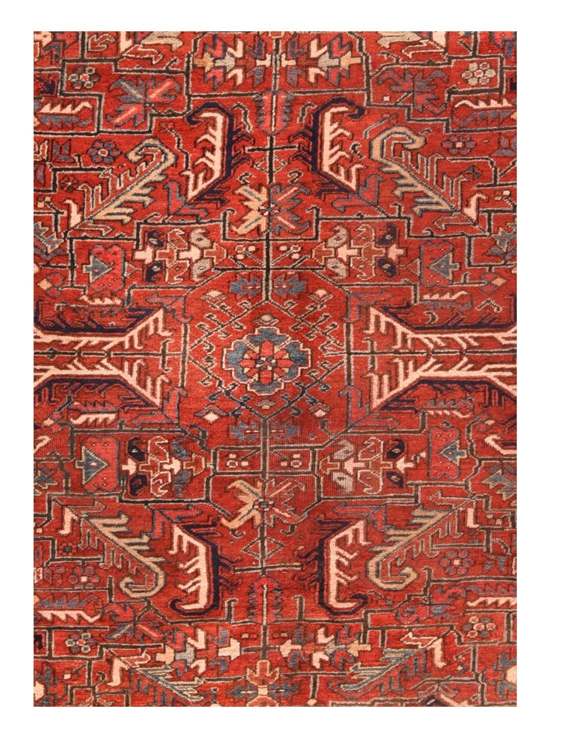 Area Rug 1791