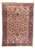 Area Rug 1797